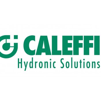 Caleffi termostato ad immersione regolabile 622