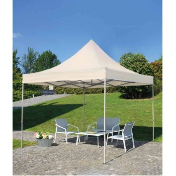 Pavillon 3x3 m mit...