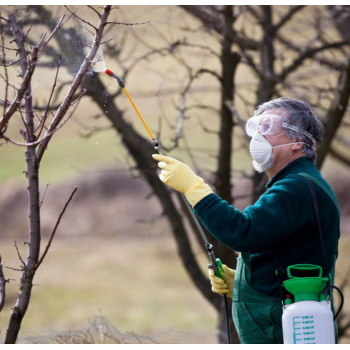 Pompa a pressione Lenny 5