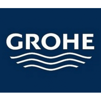 Grohe Manopola doccia a 2 getti Euphoria 27220000