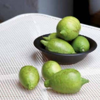 TAVOLO BARDOLINO 70X70 ESTERNO GIARDINO FERRO