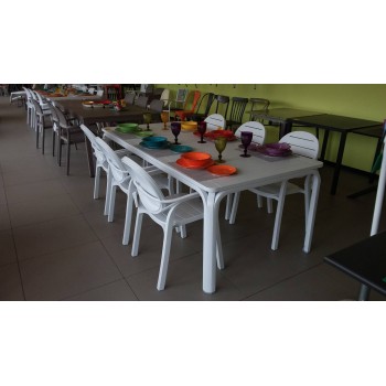 Set Nardi con tavolo Alloro...